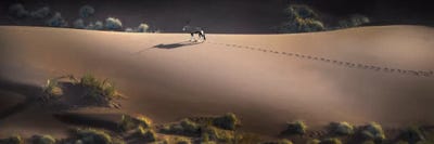 Gemsbok, Sossusvlei, Namib Desert, Namib-Naukluft National Park, Namibia by Panoramic Images canvas print
