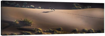 Gemsbok, Sossusvlei, Namib Desert, Namib-Naukluft National Park, Namibia Canvas Art Print - Antelope Art