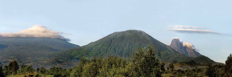 Rainforest Landscape, Volcanoes National Park (Parc National des Volcans), Rwanda