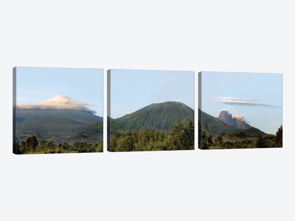 Rainforest Landscape, Volcanoes National Park (Parc National des Volcans), Rwanda by Panoramic Images 3-piece Canvas Art
