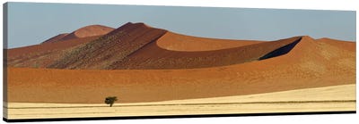 Desert Landscape XXI, Sossusvlei, Namib Desert, Namib-Naukluft National Park, Namibia Canvas Art Print - Desert Art