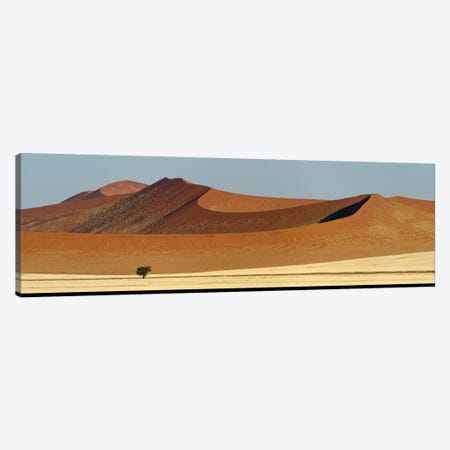 Desert Landscape XXI, Sossusvlei, Namib Desert, Namib-Naukluft National Park, Namibia Canvas Print #PIM13945} by Panoramic Images Canvas Artwork