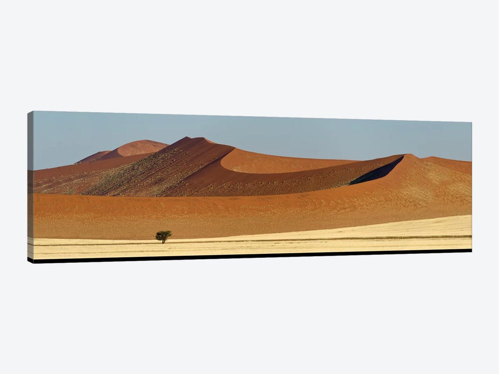 Desert Landscape XXI, Sossusvlei, Namib Desert, Namib-Naukluft National Park, Namibia by Panoramic Images 1-piece Art Print