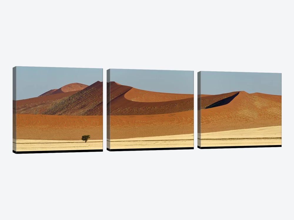 Desert Landscape XXI, Sossusvlei, Namib Desert, Namib-Naukluft National Park, Namibia by Panoramic Images 3-piece Art Print