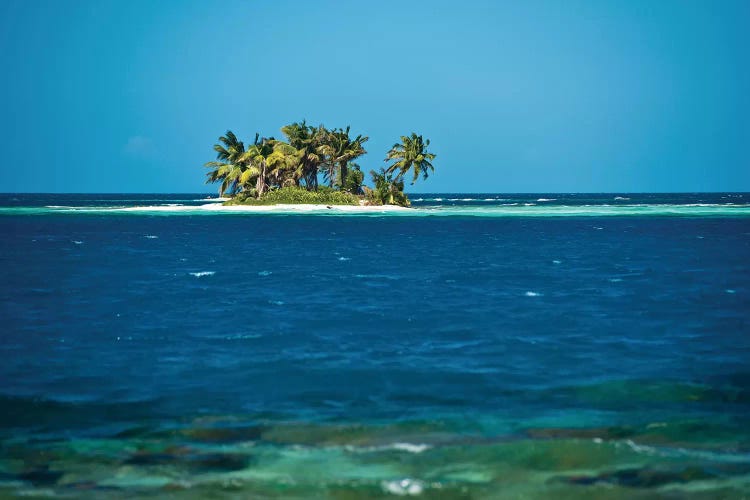 View Of Silk Caye Island With Palm Trees, Caribbean Sea, Stann Creek District, Belize