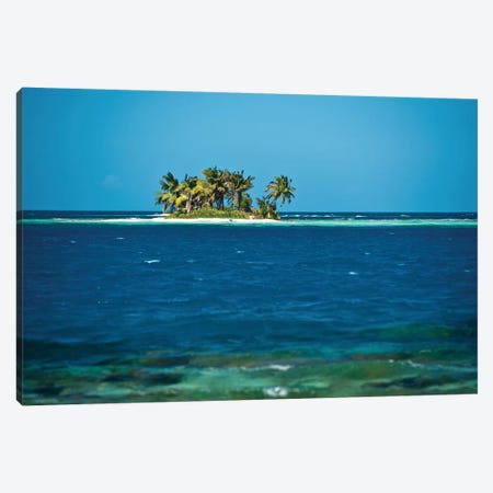 View Of Silk Caye Island With Palm Trees, Caribbean Sea, Stann Creek District, Belize Canvas Print #PIM13954} by Panoramic Images Art Print