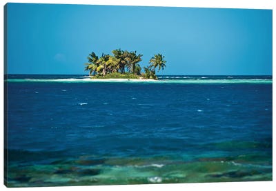 View Of Silk Caye Island With Palm Trees, Caribbean Sea, Stann Creek District, Belize Canvas Art Print - Central America