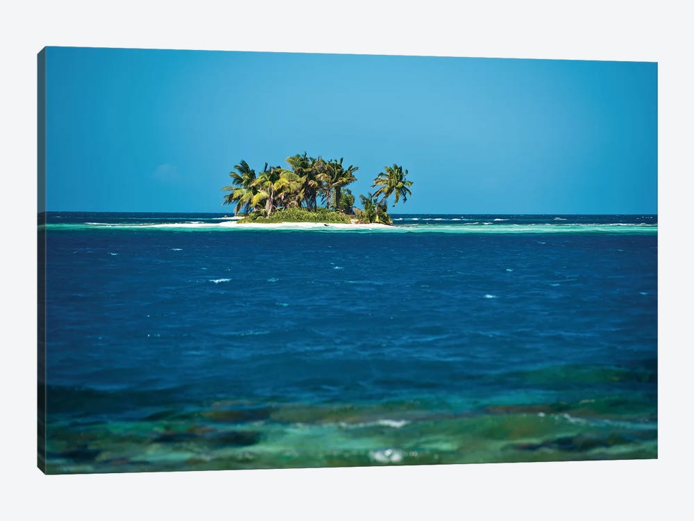 View Of Silk Caye Island With Palm Trees, Caribbean Sea, Stann Creek District, Belize by Panoramic Images 1-piece Canvas Print