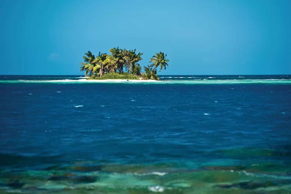 Central America: View Of Silk Caye Island With Palm Trees, Caribbean Sea, Stann Creek District, Belize by Panoramic Images
