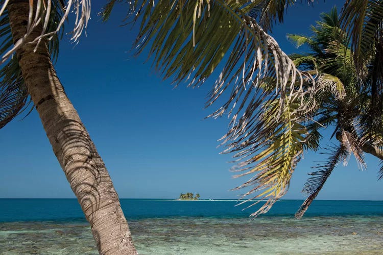 Seascape, Gladden Spit and Silk Cayes Marine Reserve, Gulf of Honduras, Caribbean Sea, Belize