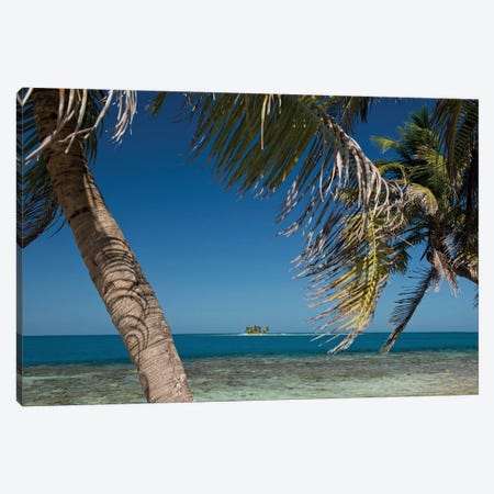 Seascape, Gladden Spit and Silk Cayes Marine Reserve, Gulf of Honduras, Caribbean Sea, Belize Canvas Print #PIM13955} by Panoramic Images Art Print