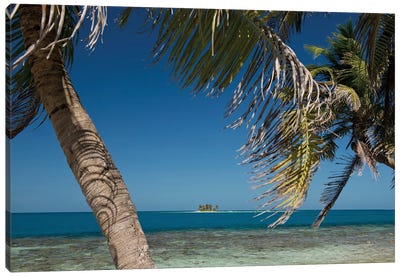 Seascape, Gladden Spit and Silk Cayes Marine Reserve, Gulf of Honduras, Caribbean Sea, Belize Canvas Art Print - Belize