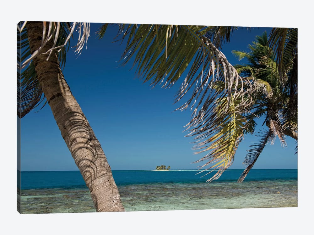 Seascape, Gladden Spit and Silk Cayes Marine Reserve, Gulf of Honduras, Caribbean Sea, Belize by Panoramic Images 1-piece Canvas Wall Art