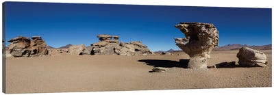 Stone Tree, Eduardo Abaroa Andean Fauna National Reserve, Sur Lipez Province, Potosi Department, Bolivia Canvas Art Print - Desert Landscape Photography