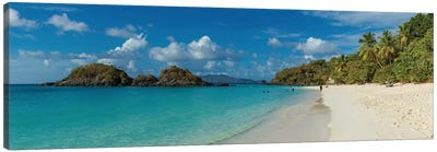 Trunk Bay II, St. John, U.S. Virgin Islands Canvas Art Print - Panoramic Photography