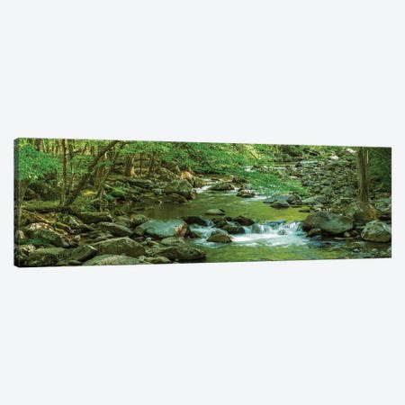 Flowing Creek, Great Smoky Mountains National Park, Tennessee, USA Canvas Print #PIM13974} by Panoramic Images Canvas Art Print