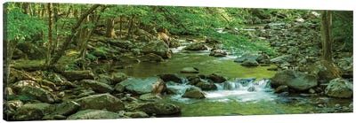 Flowing Creek, Great Smoky Mountains National Park, Tennessee, USA Canvas Art Print - Tennessee