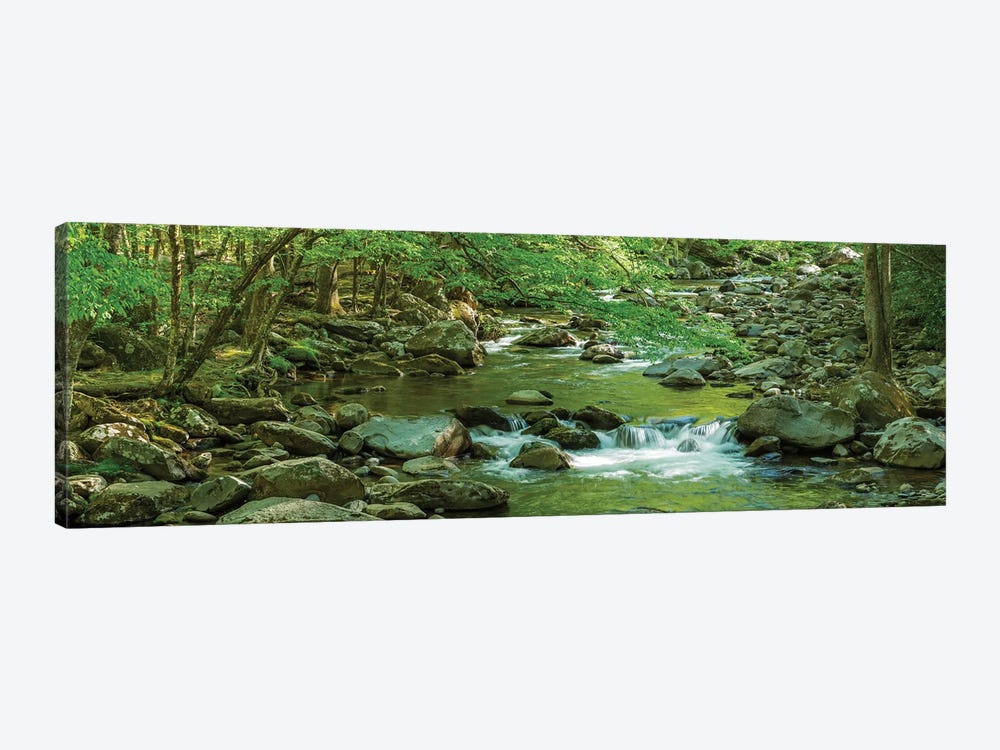 Flowing Creek, Great Smoky Mountains National Park, Tennessee, USA by Panoramic Images 1-piece Canvas Print