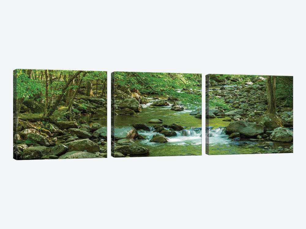 Flowing Creek, Great Smoky Mountains National Park, Tennessee, USA by Panoramic Images 3-piece Canvas Print