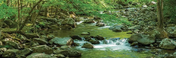 Tennessee: Flowing Creek, Great Smoky Mountains National Park, Tennessee, USA by Panoramic Images