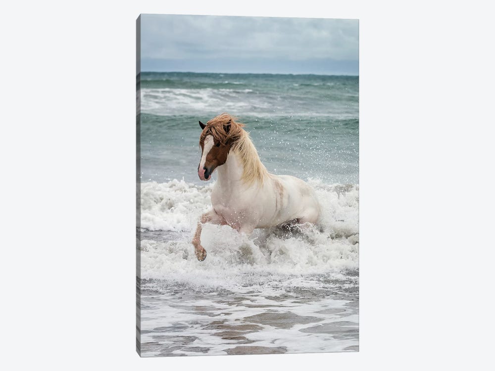 Icelandic Horse In The Sea, Longufjorur Beach, Snaefellsnes Peninsula, Vesturland, Iceland by Panoramic Images 1-piece Canvas Art