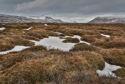 Highland Landscape, Bardardalur, Iceland by Panoramic Images metal wall art