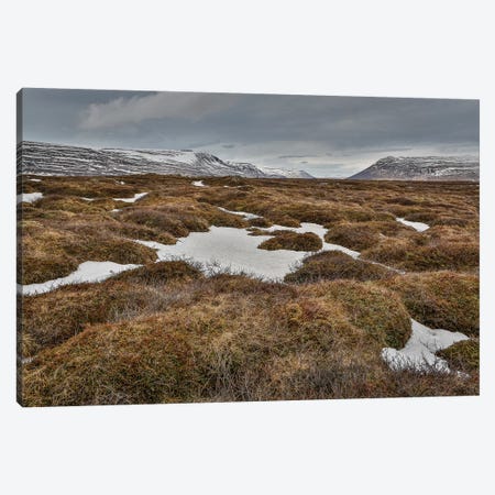 Highland Landscape, Bardardalur, Iceland Canvas Print #PIM14004} by Panoramic Images Canvas Art