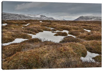Highland Landscape, Bardardalur, Iceland Canvas Art Print - Marsh & Swamp Art