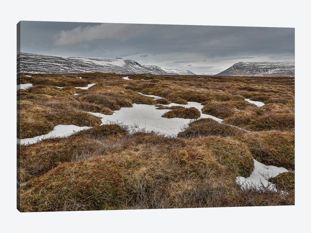 Highland Landscape, Bardardalur, Iceland by Panoramic Images 1-piece Canvas Wall Art