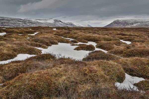 Highland Landscape, Bardardalur, Iceland