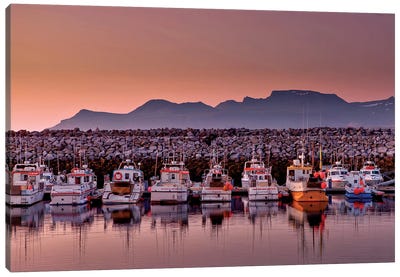 Docked Boats, Olafsvik, Snaefellsnes Peninsula, Vesturland, Iceland Canvas Art Print - Iceland Art
