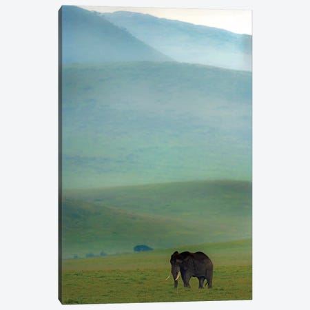 African Elephant, Ngorongoro Conservation Area, Crater Highlands, Arusha Region, Tanzania Canvas Print #PIM14053} by Panoramic Images Canvas Artwork