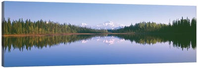 Denali (Mt. McKinley), Alaska Range, Denali National Park and Preserve, Alaska, USA Canvas Art Print - Denali National Park & Preserve Art