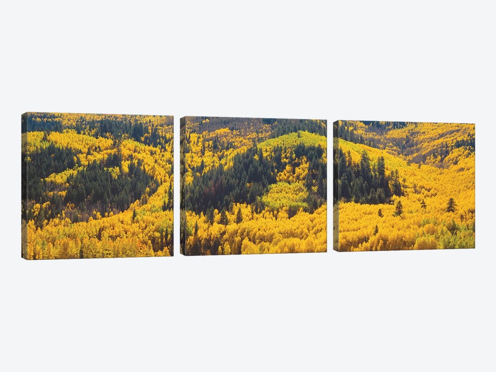 Autumn Landscape, Dolores County, Colorado, USA by Panoramic Images 3-piece Canvas Artwork