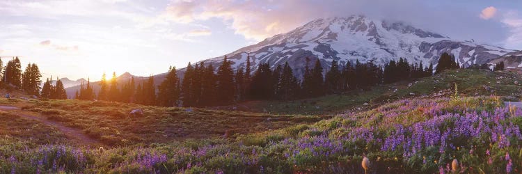 Spring Landscape, Mount Rainier Wilderness, Pierce County, Washington, USA