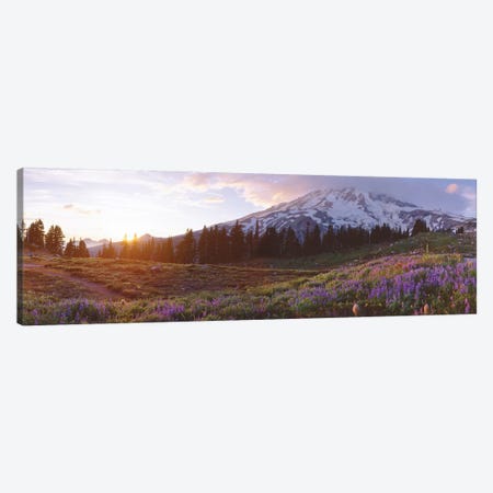 Spring Landscape, Mount Rainier Wilderness, Pierce County, Washington, USA Canvas Print #PIM14094} by Panoramic Images Art Print