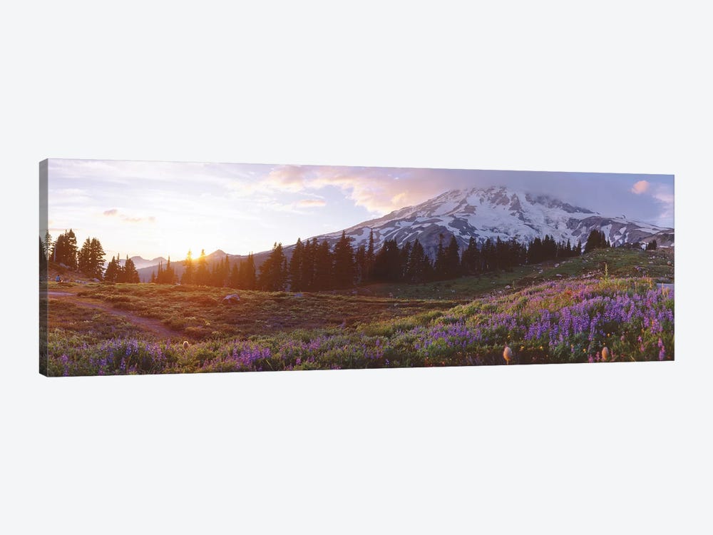 Spring Landscape, Mount Rainier Wilderness, Pierce County, Washington, USA by Panoramic Images 1-piece Art Print