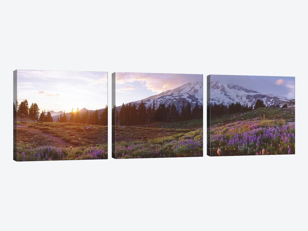 Spring Landscape, Mount Rainier Wilderness, Pierce County, Washington, USA by Panoramic Images 3-piece Canvas Print
