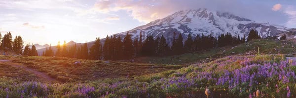 Cascade Range: Spring Landscape, Mount Rainier Wilderness, Pierce County, Washington, USA by Panoramic Images