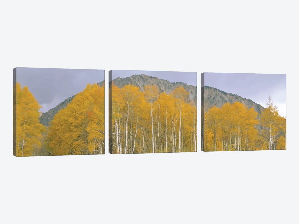Autumn Landscape, Kebler Pass, Gunnison National Forest, Gunnison County, Colorado, USA by Panoramic Images 3-piece Canvas Art