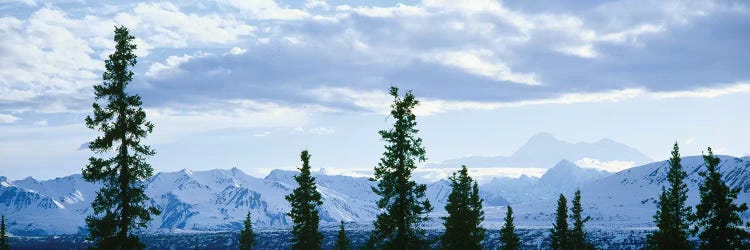 Mountain Landscape, Alaska Range, Denali National Park and Preserve, Alaska, USA