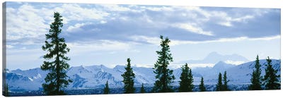 Mountain Landscape, Alaska Range, Denali National Park and Preserve, Alaska, USA Canvas Art Print - Denali National Park & Preserve Art