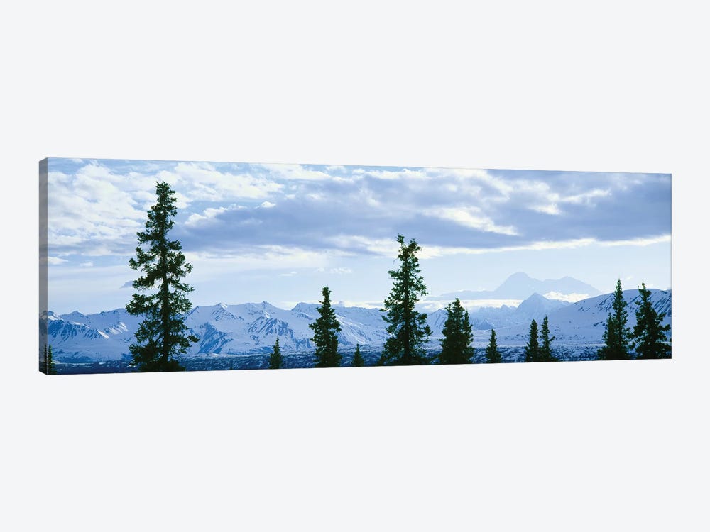 Mountain Landscape, Alaska Range, Denali National Park and Preserve, Alaska, USA by Panoramic Images 1-piece Canvas Art Print