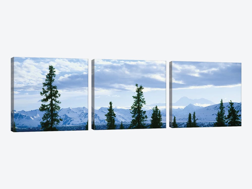 Mountain Landscape, Alaska Range, Denali National Park and Preserve, Alaska, USA by Panoramic Images 3-piece Art Print