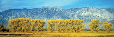 Autumn Landscape, U.S. Route 395, Sierra Nevada Range, California, USA by Panoramic Images framed canvas print