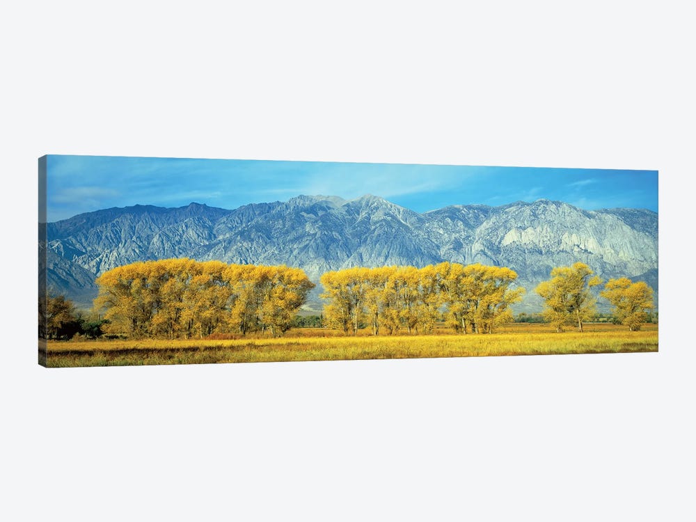 Autumn Landscape, U.S. Route 395, Sierra Nevada Range, California, USA by Panoramic Images 1-piece Canvas Print