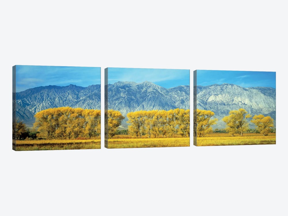Autumn Landscape, U.S. Route 395, Sierra Nevada Range, California, USA by Panoramic Images 3-piece Canvas Print
