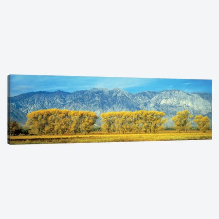 Autumn Landscape, U.S. Route 395, Sierra Nevada Range, California, USA Canvas Print #PIM14102} by Panoramic Images Canvas Art