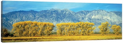 Autumn Landscape, U.S. Route 395, Sierra Nevada Range, California, USA Canvas Art Print - Sierra Nevada