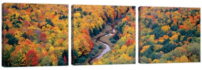 Autumn Landscape I, Porcupine Mountains Wilderness State Park, Upper Peninsula, Michigan, USA Canvas Art Print - 3-Piece Panoramic Art
